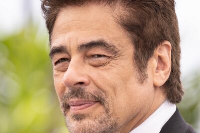 Benicio del Toro in Protective Custody