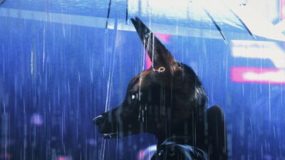 A still from Bouchra, the animated feature by Meriem Bennani and Orian Barki, showing the jackal Bouchra in a rain-soaked, neon-lit New York street.