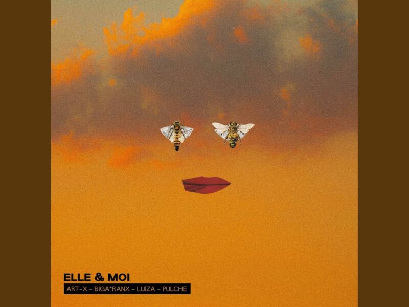 Art-X réunit Biga*Ranx, Luiza et Pulche Le Douce sur « Elle & moi »