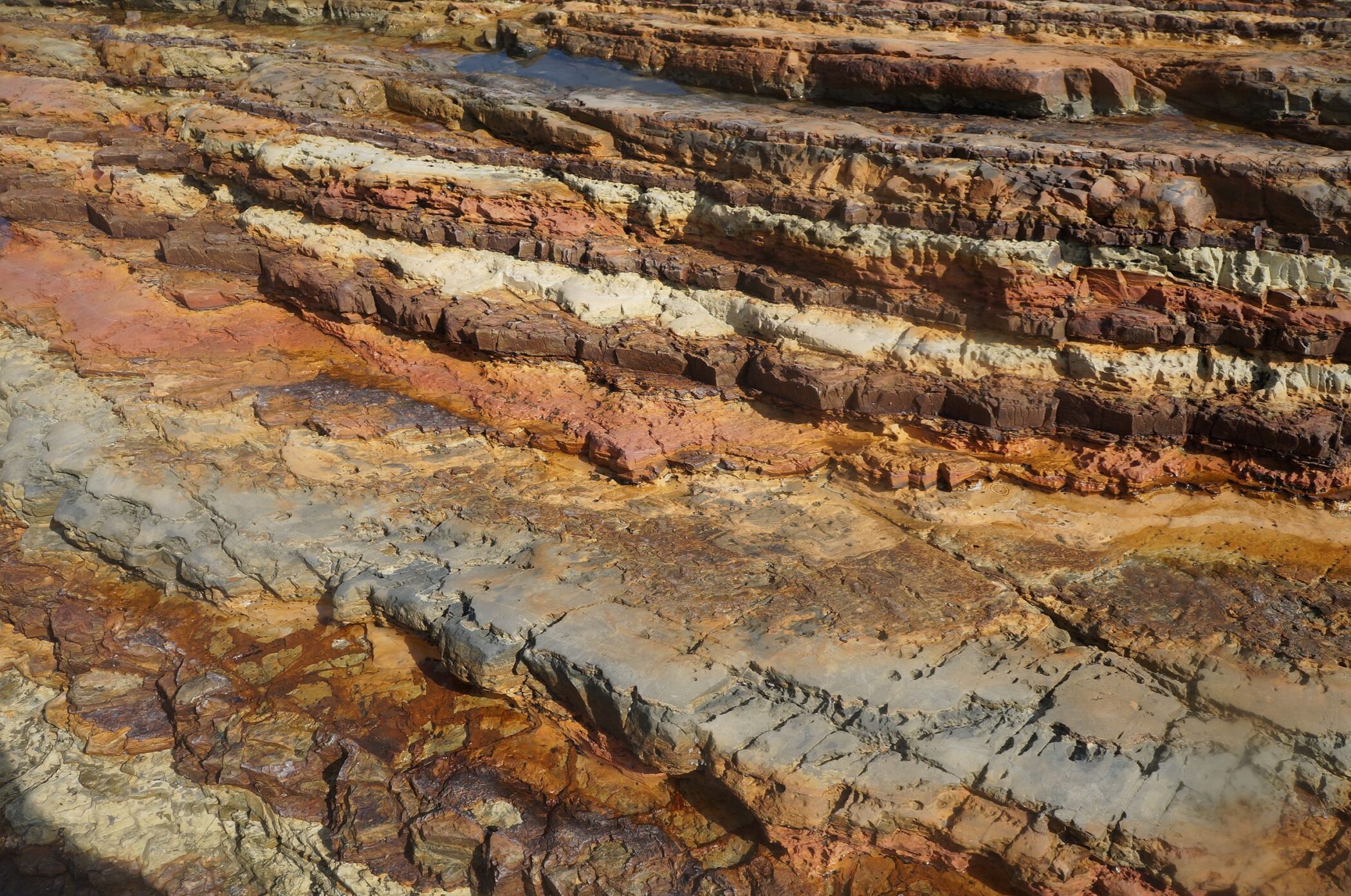 Layered sedimentary rock strata at a coastal outcrop, showing Earth's geological record of ancient climate change