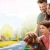 Think like a dog»: una comedia predecible pero entrañable