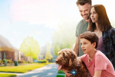 Think like a dog»: una comedia predecible pero entrañable