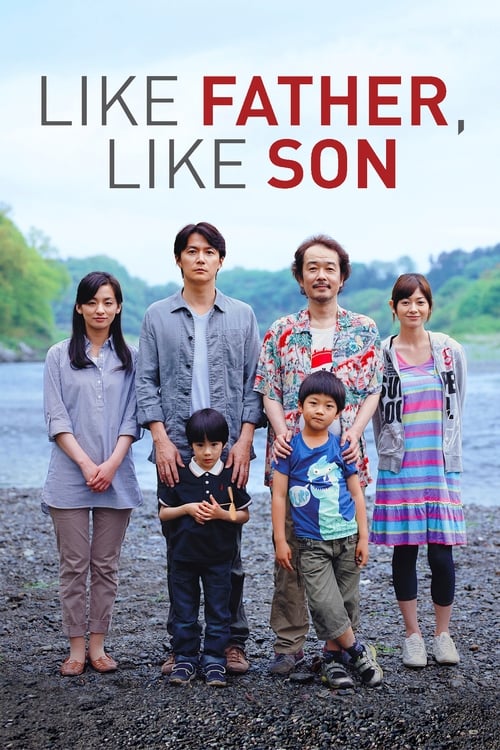 Tel père, tel fils (2013)