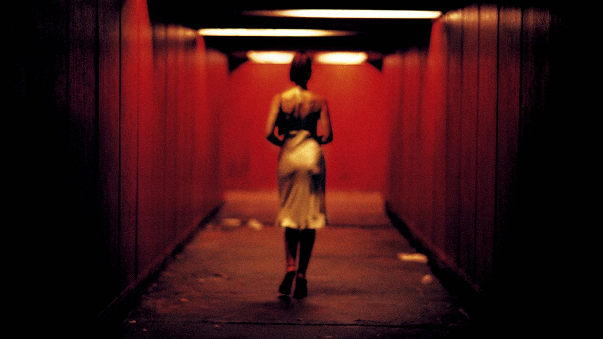 Irreversible: A Brutal Masterpiece That Defies Comfort