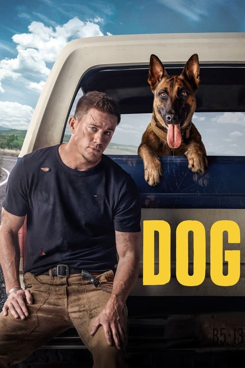 Dog - A Aventura de Uma Vida (2022)