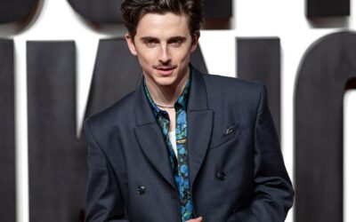 Wonka 2 parado enquanto Chalamet escolhe outros projetos primeiro