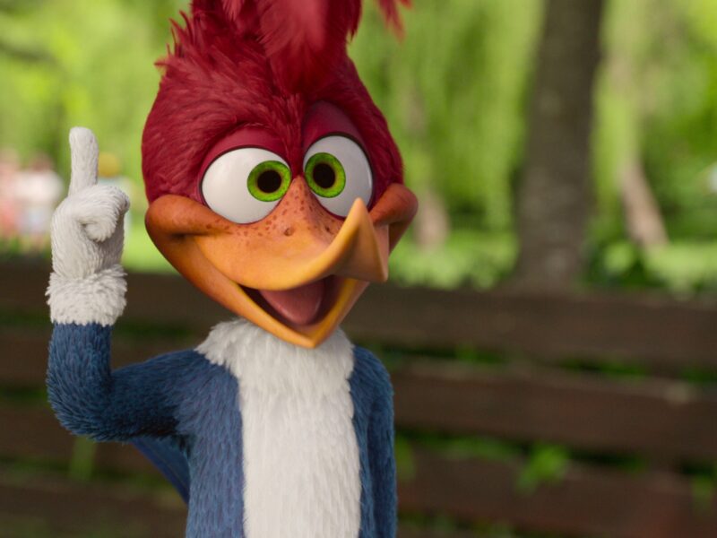 Woody woodpecker goes to camp: un desastre de comedia sin gracia