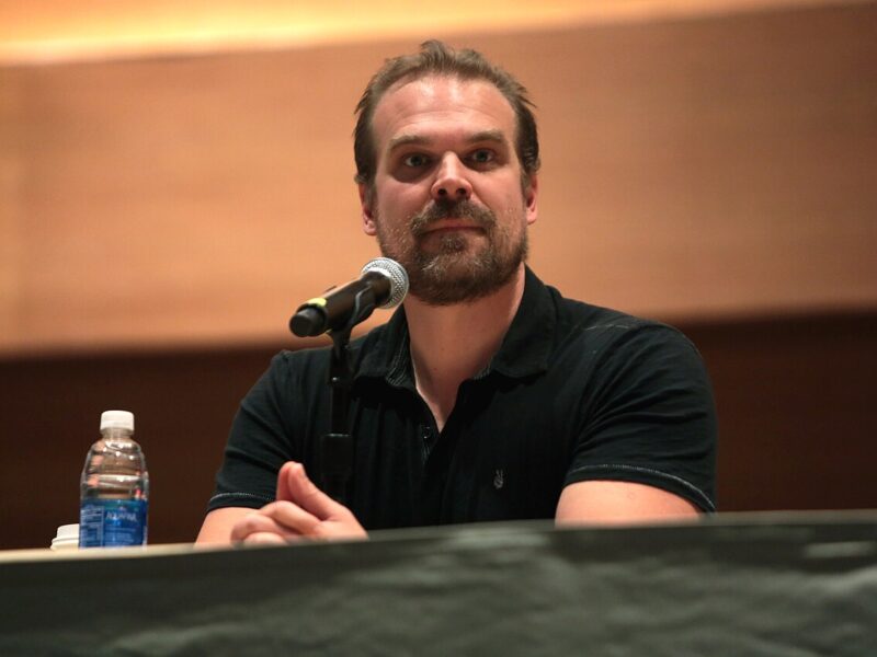 David Harbour, quando o ecrã e a vida real contam a mesma história de um homem partido pelo excesso de amor