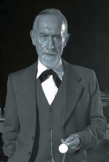 Anton Trendafilov como Sickly Old Man