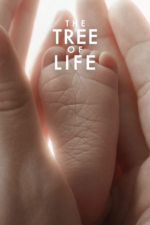 El árbol de la vida (2011)
