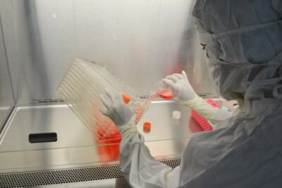Researcher in protective suit processing cell cultures in a biosafety cabinet for CAR T cell therapy manufacturing