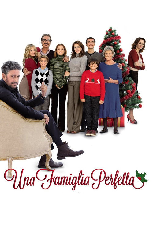 A Perfect Family (2012)