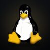 Torvalds Linux’u hobi olarak nitelendirdi. 35 yıl sonra dünyadaki her süper bilgisayarda çalışıyor
