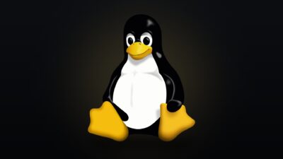 Tux, the penguin mascot of the Linux kernel