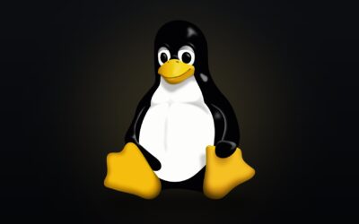 Torvalds llamó a Linux un pasatiempo. 35 años después funciona en todos los supercomputadores del planeta