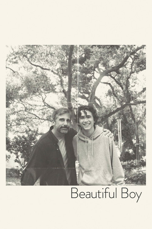 Beautiful Boy: siempre serás mi hijo (2018)