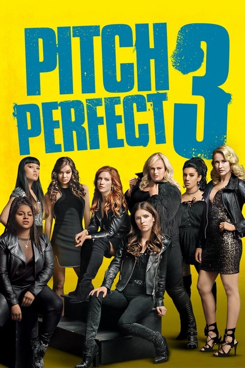 Notas Perfectas 3 (2017)