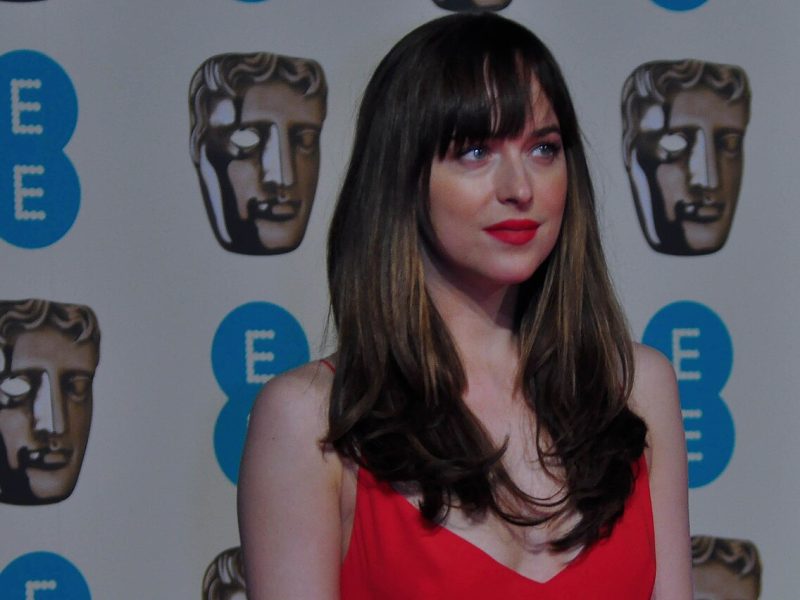 Dakota Johnson en «Verity. La sombra de un engaño»: la crítica no se pone de acuerdo sobre su frialdad