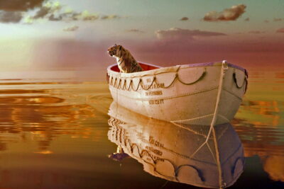 Life of Pi: A Visual Masterpiece That Redefines Survival Cinema