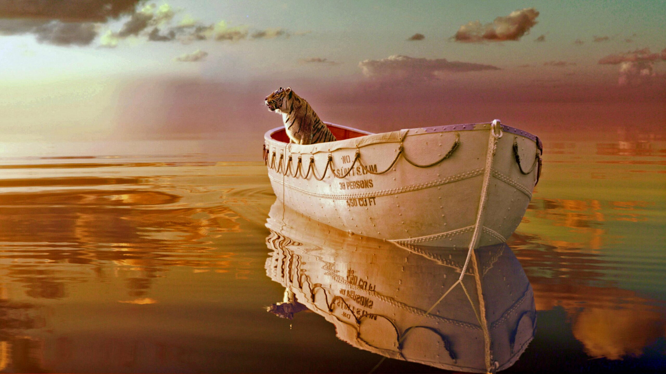 Life of Pi: una obra maestra visual y filosófica