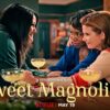 Sweet Magnolias: Un refugio emocional bien construido