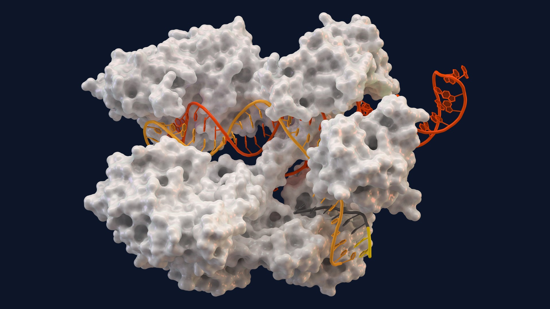 Photo: it.martincid.com CTX310 CRISPR therapy reduces LDL cholesterol at one year