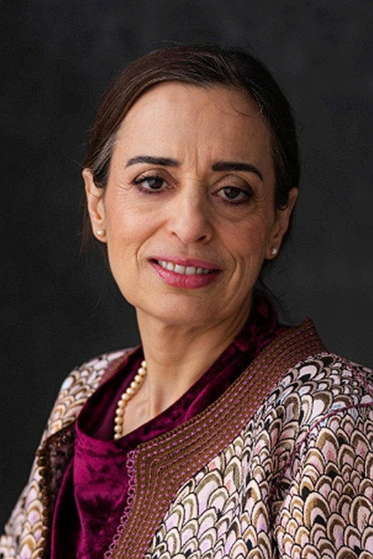 Fatima Khanfour como Hanin Mansour
