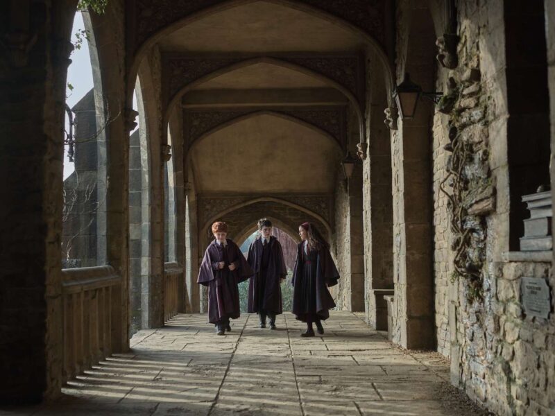HBOの賭け：リスゴーのダンブルドアとエシードゥのスネイプが映画版の常識を覆す