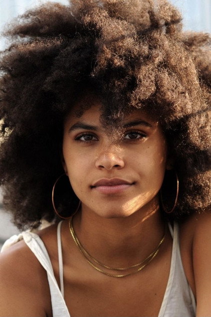 Zazie Beetz como Diane Foxington (voice)