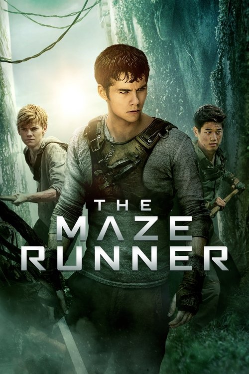 Maze Runner - Il labirinto (2014)
