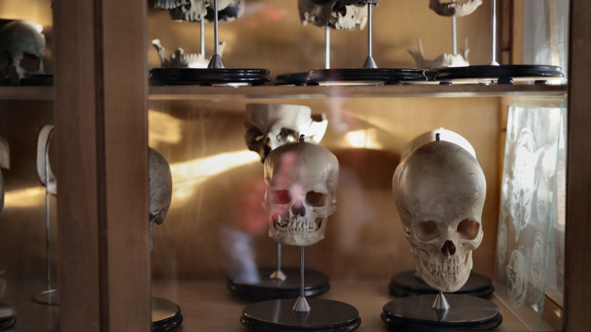 O DNA humano esconde dois ancestrais fantasma, um de uma espécie de 1,8 milhão de anos