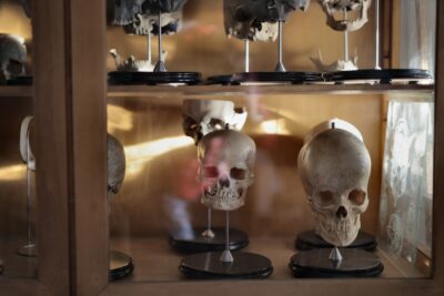 O DNA humano esconde dois ancestrais fantasma, um de uma espécie de 1,8 milhão de anos
