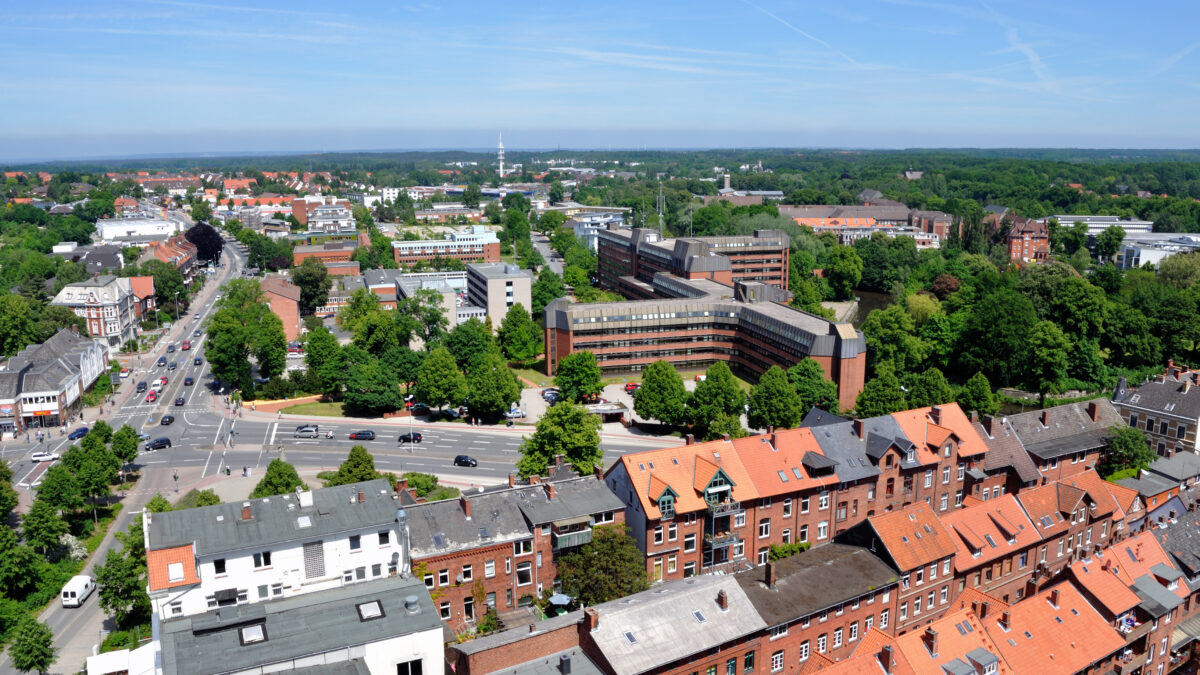 Aerial view of Lueneburg showing red-brick rooftops and green treetops