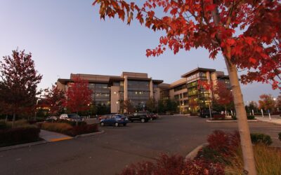 Microsoft offers 60,000 employees severance to leave, including some VPs