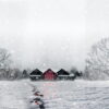 Snow Falls: Claustrophobic Chills Outshine Predictable Plot