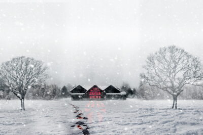 Snow Falls: Claustrophobic Chills Outshine Predictable Plot