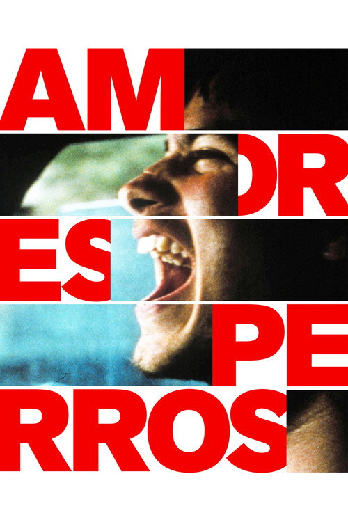 Paramparça Aşklar Köpekler (2000)