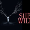 She Will: atmósfera gótica sin sustento narrativo