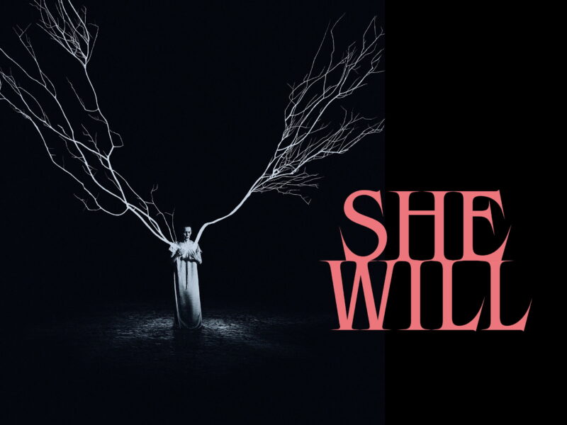 She Will: atmósfera gótica sin sustento narrativo