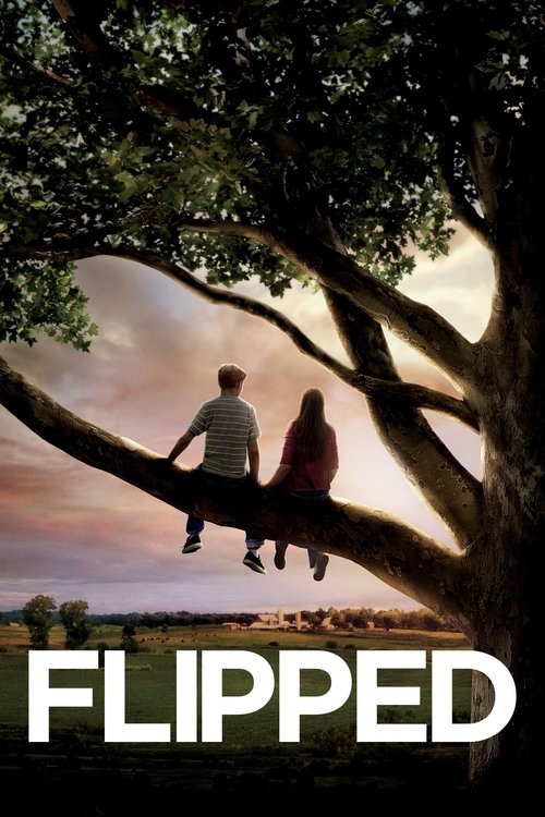 Un Cœur à l'envers (2010)
