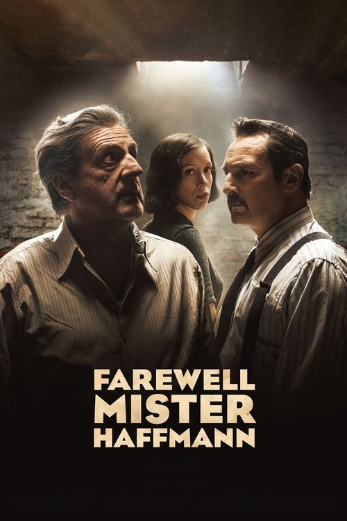 Adieu monsieur Haffmann (2022)
