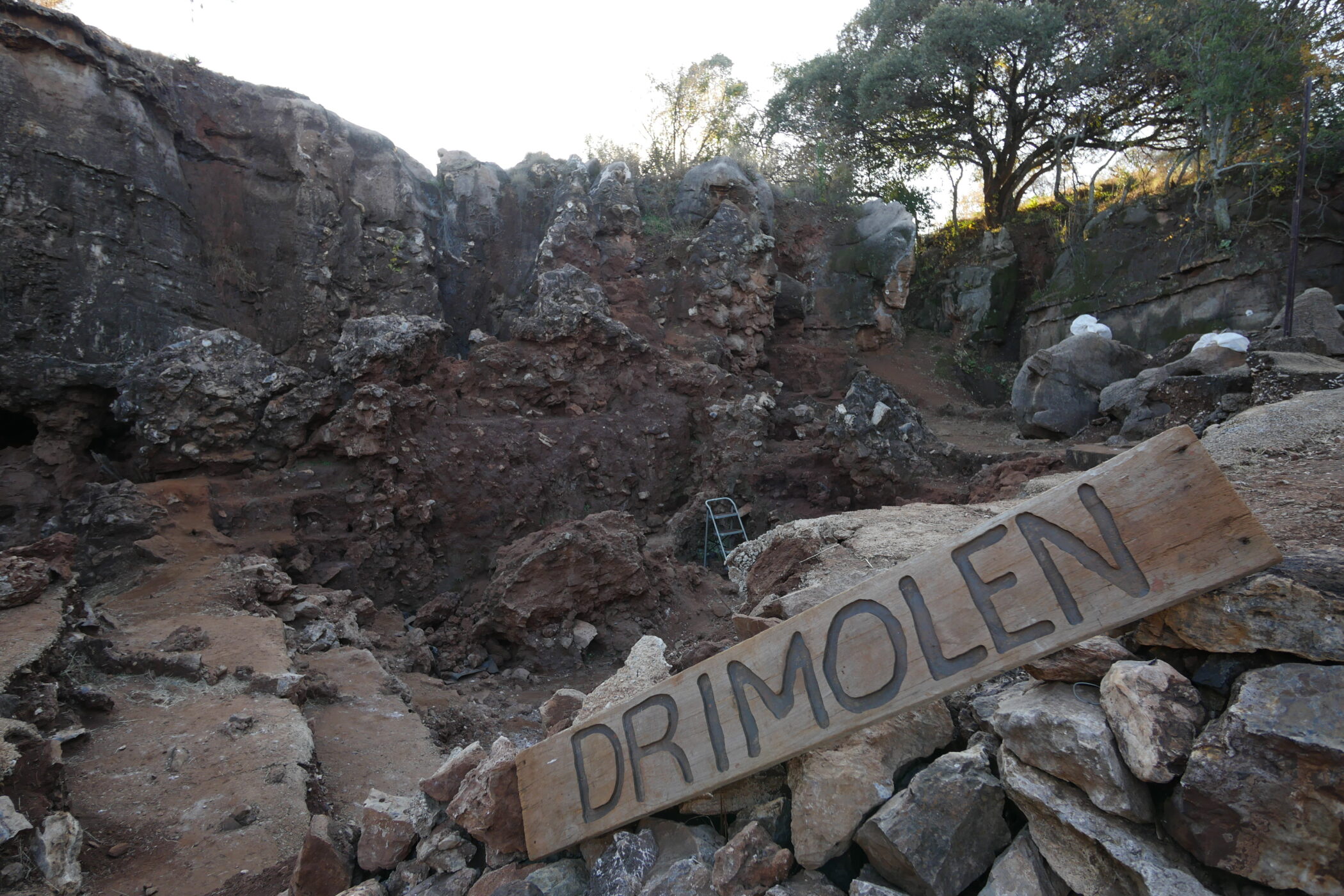 Homo erectus era superado 10 a 1 por um primo de dentes enormes há 2 milhões de anos