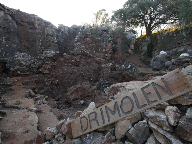 Homo erectus era in minoranza 10 a 1 in Sudafrica due milioni di anni fa