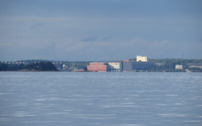 La Finlande stoppe les chantiers de Google après 330 hectares de forêt rasés