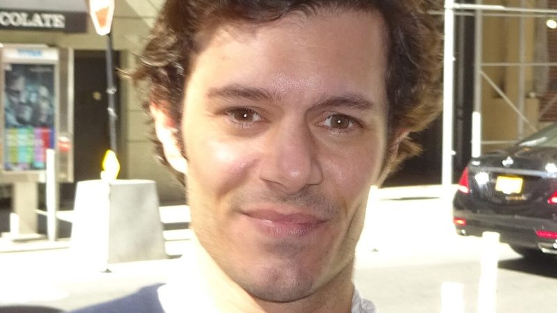 Adam Brody: Vom Nerd aus O.C., California zum Rabbi in Nobody Wants ...