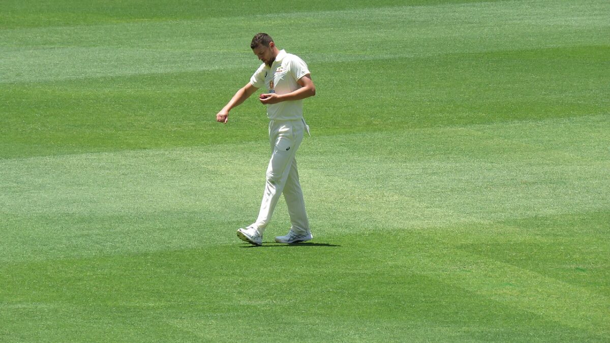 Sudáfrica se derrumba ante Australia en Durban y el veterano Josh Hazlewood logra el mejor registro de su carrera