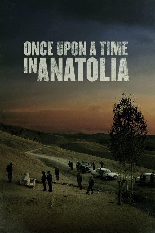 Bir Zamanlar Anadolu'da (2011)