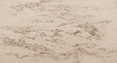 Daneenart Burakasikorn painting What Remains 1, a pale textured abstract canvas with drifting brown marks