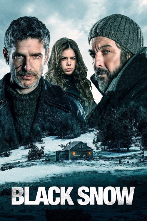 黒い雪 (2017)