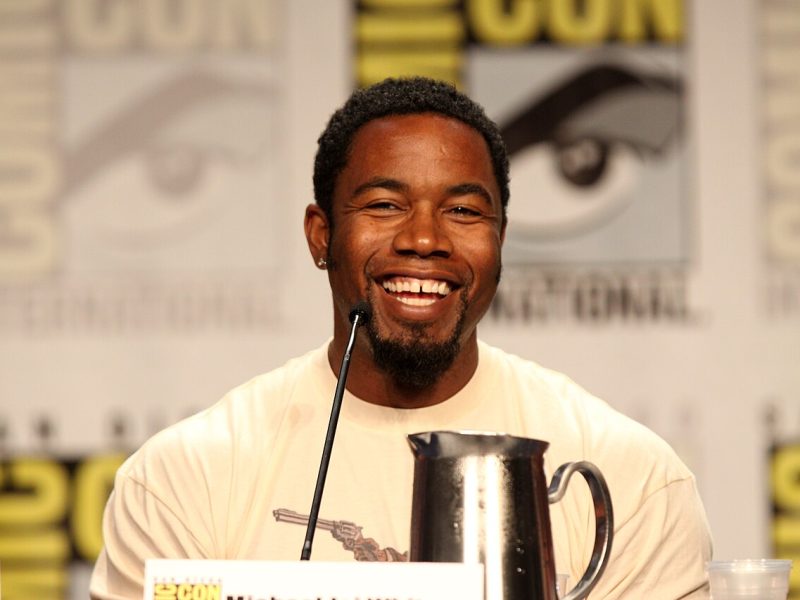 Michael Jai White, el luchador al que Hollywood dejó en segunda fila